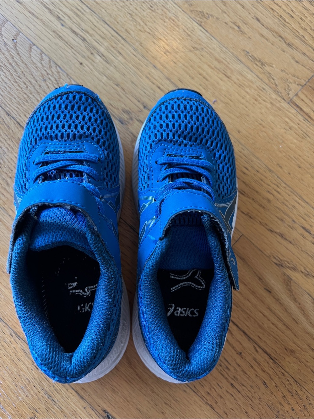 ASICS Kids Bright Blue Mesh Sneakers with Hook-and-Loop Strap